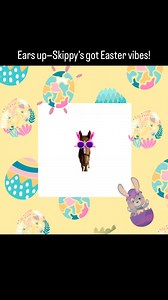 Hoppy Easter from Skippy and all of us at Warhorse Liberation! This mischievous bunny—I mean horse—is here to remind you that today is all about second chances, fresh starts, and sweet moments (with a little hay on the side). We’re so grateful for your love and support—it helps us give horses like Skippy a new lease on life and share healing with others. May your Easter be filled with peace, joy, and just the right amount of chaos—Skippy-approved, of course. #HappyEaster #EasterWithSkippy #FarmV