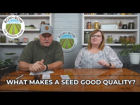 Understanding Different Types of Seeds | Vegetable Gardening 101