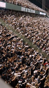 339K views · 2.2K reactions | Game 12 Trailer | More Than A Game Narrated by Trey Zuhn III | Texas A&M Football | Facebook