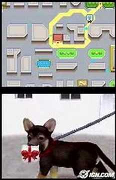 Nintendogs-Walking The Dog