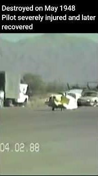 Smallest Plane | Bumble Bee 2