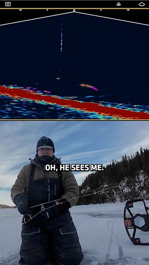 Watching Lake Trout in attack mode on MEGA Live 2 sure is exciting! 🤘 #MEGALive2 🎥 Doug Wegner Fishing | #Humminbird | Humminbird