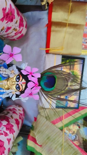 joy Gopal sona ❤️ | Gopal sona | hare Krishna | bhagwan Seva |