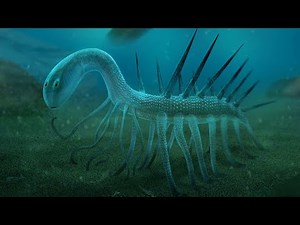 Hallucigenia - The Spinal Worm