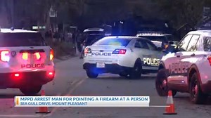 Man arrested after Mount Pleasant disturbance