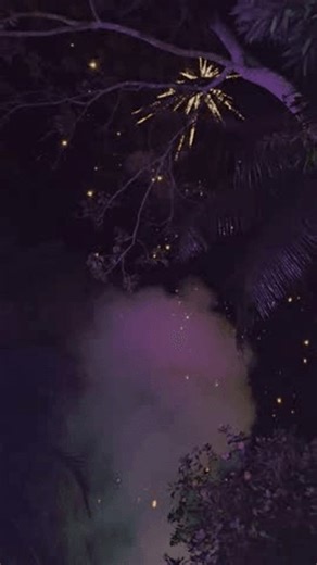 clip-3996803489-vertical-video-capturing-colorful-fireworks-exploding-dark