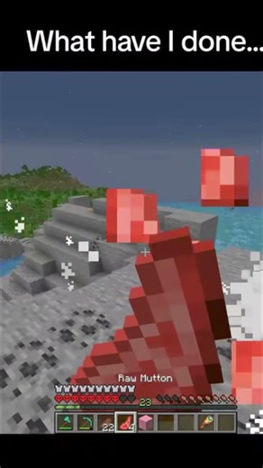 what i have done in minecraft#shorts