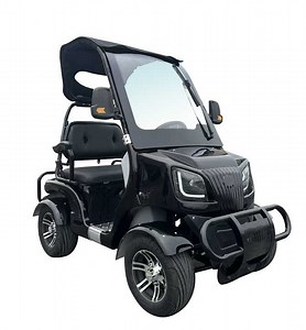 Factory Direct Mini Electric Golf Cart 2 Seat Off Road Motorized Golf Cart