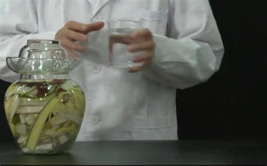 新教材选三实验 制作传统发酵食品 泡菜的制作