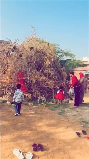 Happy holii. 🎨 #shortvideo #minivlog #dailyshorts #vlog #holi