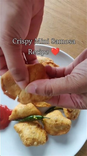Crispy Mini Samosa 😍 Perfect bite-size snack! Would you try these?