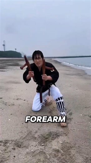 Tonfa - The Most Iconic Defensive Weapon?!