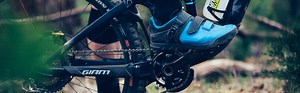 Line | Giant Bicycles Official site