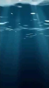 Discover the Stunning Transparency of the Sea