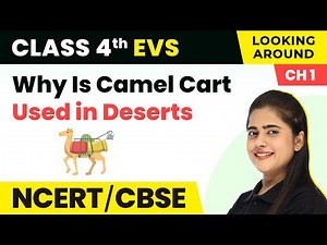Why Is Camel Cart Used in Deserts - Going to School | Class 4 EVS