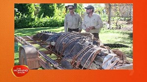 126K views · 341 reactions | A 600 KILO saltwater crocodile has been captured in Katherine in the Northern Territory!  Rangers have been hunting this guy for more than a decade, and the croc is believed to be 60-years-old!  | The Morning Show | Facebook