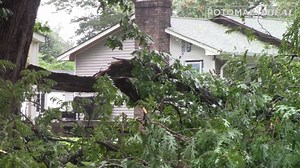 40K views · 188 reactions | A massive storm Sunday afternoon brought hail, high winds, and heavy rain to southern sections of Stafford County. Trees in the Grafton Village area near Fredericksburg landed on houses in neighborhoods on Deacon Road. | Potomac Local News | Facebook