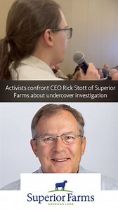 In 2024, anonymous activists with @directactioneverywhere exposed heinous, and unlawful animal abuse at Superior Farms, the largest supplier of lamb. In that same year., @proanimalfuture campaigned to get a Denver slaughterhouse ban, which would have shut down Superior Farms slaughter, plant there. Activists just confronted CEO Rick Stott at a conference where he was speaking entitled.”the freedom to operate” and “clearing the path”, in which he spoke about proactive ways to protect the animal a