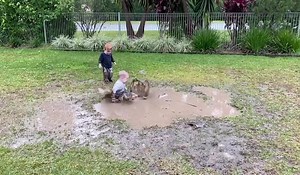 87K views · 1.6K reactions | Das stärkt das Immunsystem! <3 Tolle Kindheit! | Kids Art: Aktivitäten und Basteln mit Kindern | Facebook