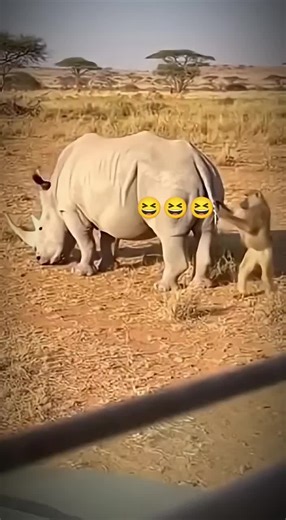Amazing AI Video Showcasing Wildlife and Pets