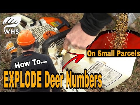 How To Fit More Deer On Your Land