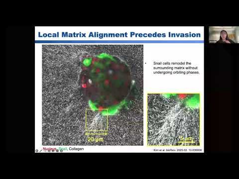 Connecting IFs Seminar, 28 May 2025 (1/2): Jiwon Kim