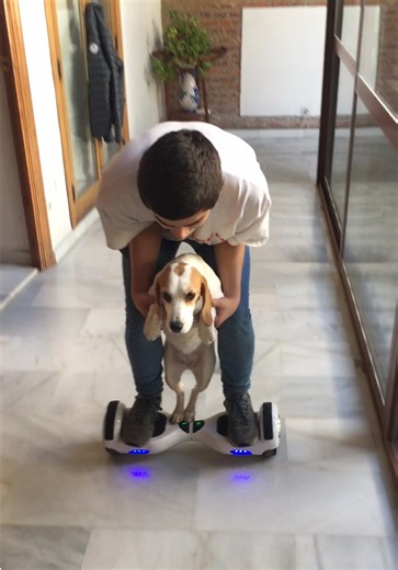 #dog #monopatin #skateboard