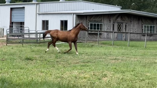 Showing the Derby Ln Ranch this morning. | DBL Real Estate