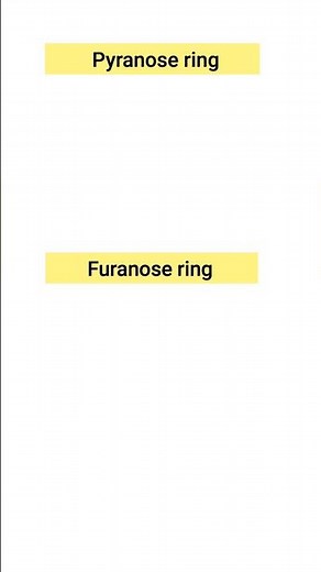 what is pyranose and furanose ring l difference between pyranose and furanose ring l #biology