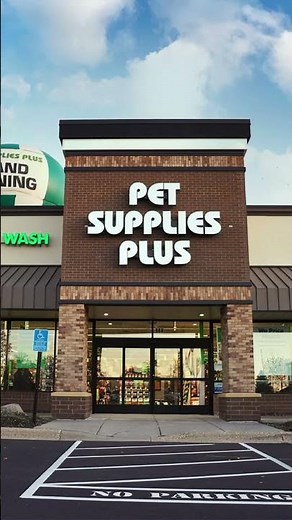 Where to Shop for Reptiles in Southeast Massachusetts | Best Stores & Supplies Guide #pets #reptiles