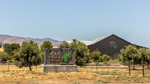 24 reactions · 3 comments | At Séka Hills, traditional Native American values are at the core of their commitment to sustainable agriculture. Learn more about how the tribe is producing wine, olive oil and growing a variety of crops on their ancestral lands: https://californiagrown.org/blog/seka-hills/ | California Grown | Facebook