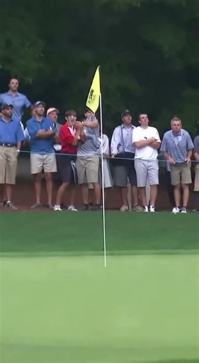 A Golf Shot That Earned Applause #golf #GolfShot