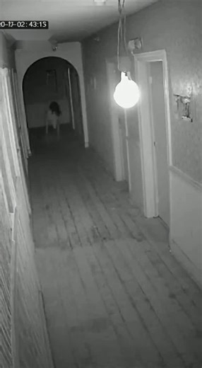 132K views · 2.8K reactions | what is it ?? | Phoenix ASMR | Facebook