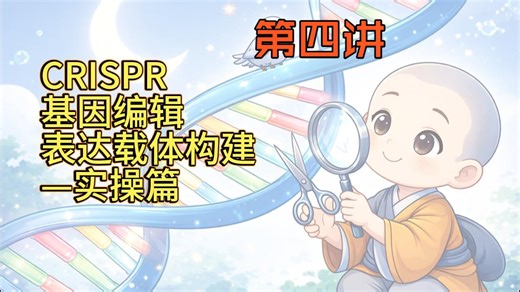 实操演练，CRISPR基因编辑，表达载体构建