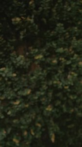 My Cinematic iPhone Setup with Khronos ✨ Sometimes the gear we already have can get even better with the right accessories designed exactly for this. Let’s take a look! #tiltakhronos #khronoslite | BINKO