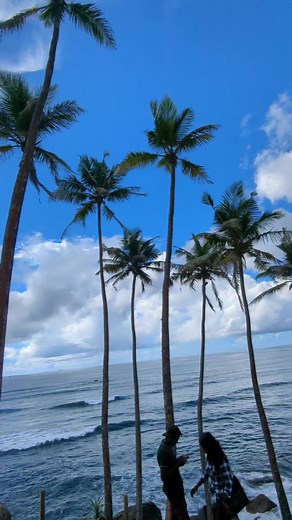 10K views · 437 reactions | Beautiful Sri Lankan Beach,Mirissha Coconut Hill. | Backpacker Shahadat | Facebook