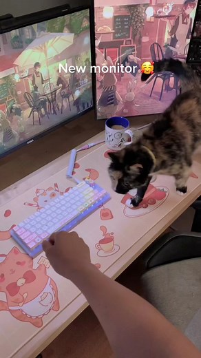 Lepow Lite H1 Portable monitor by Lepow! Link in bio 🥰 #monitor #gamingsetup #worksetup #fyp