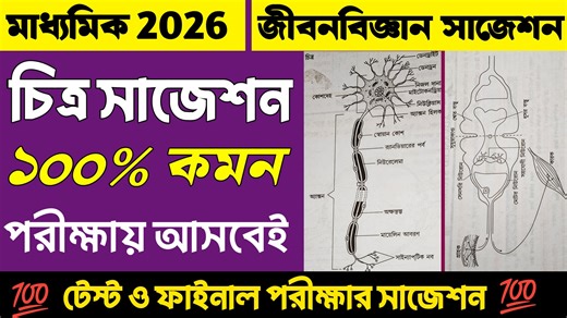 39K views · 645 reactions | Madhyamik 2026 Life Science Drawing Suggestion | মাধ্যমিক জীবনবিজ্ঞান চিত্র অঙ্কন 2026 #Madhyamik2026 #LifeScience #Suggestion #Class10 #learnwithjoy | Learn With Joy | Facebook