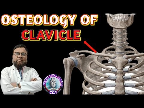 OSTEOLOGY OF CLAVICLE BONE I COLLAR BONE I BEAUTY BONE I ' S ' Shaped bone💥💥💥