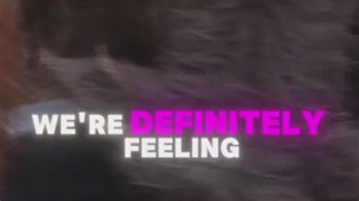 Check this out: Highland cow calves at the Whitewater Center