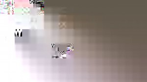 45 reactions · 27 comments | Want to know how the market fared this week amidst the current scenario? Check out our new bi-weekly trader's technical digest to gain all the #stockmarket updates! #tradersdigest #angelbroking | Angel One | Facebook