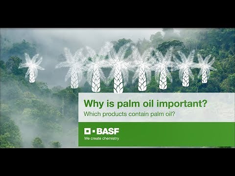 Why is palm oil important? Which products contain palm oil?