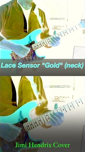 Fender Strat Plus Lace Sensor Gold Pickup neck position #guitarsolo #stratocaster #apa #guitarist