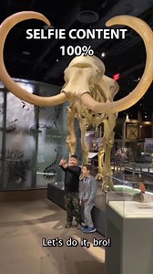 Much like Springs Preserve, the Nevada State Museum, Las Vegas is a hidden gem! Explore everything about the Silver State (indoors, btw), from our state’s origins to the natural wonders that once roamed our home. You might even want to take a selfie. Access is free with paid admission to the Preserve. https://www.springspreserve.org/explore/nevada-state-museum.html [Español] ¡Al igual que Springs Preserve, el Museo del Estado de Nevada es una joya escondida! Explora todo sobre el Silver State, d