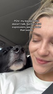 1M views · 6.8K reactions | When your border collie has a facial...