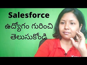 What is Salesforce job roles and responsibilities (Telugu)