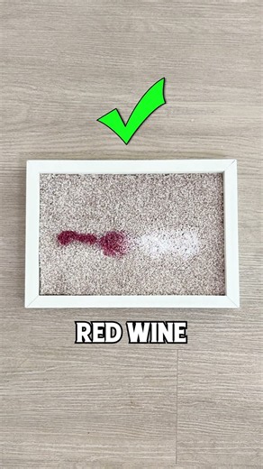 How to Remove Permanent Marker, Coffee, Ketchup, Lipstick and Mustard Stains from Carpet -Campanelli