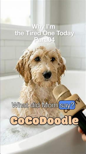 hellococodoodle on Instagram: "It started with a plan. Then a smell. Then another one. I knew it would end here. Back home. In the bathroom. Mom looks serious. No treats this time. But today wasn’t a bad day. It was just the kind of day that takes a bath to finish."