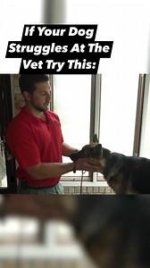 29K views · 553 reactions | This is a fun training drill you can practice with your dog if they struggle at the vet. Do this over several sessions and see how it goes! #dogtraining #germanshepherd #puppy | Canine Revolution Dog Training | Facebook