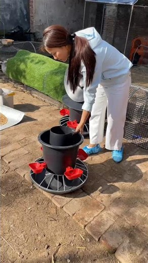 Smart Poultry Feeder Design | Save Time & Feed